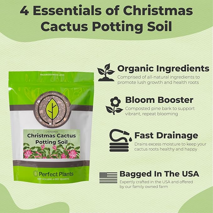 All Natural Christmas Cactus Potting Soil by Perfect Plants | Made in The USA | Christmas Cactus & Other Succulent Varieties | Formulated for Proper Drainage (4qt)