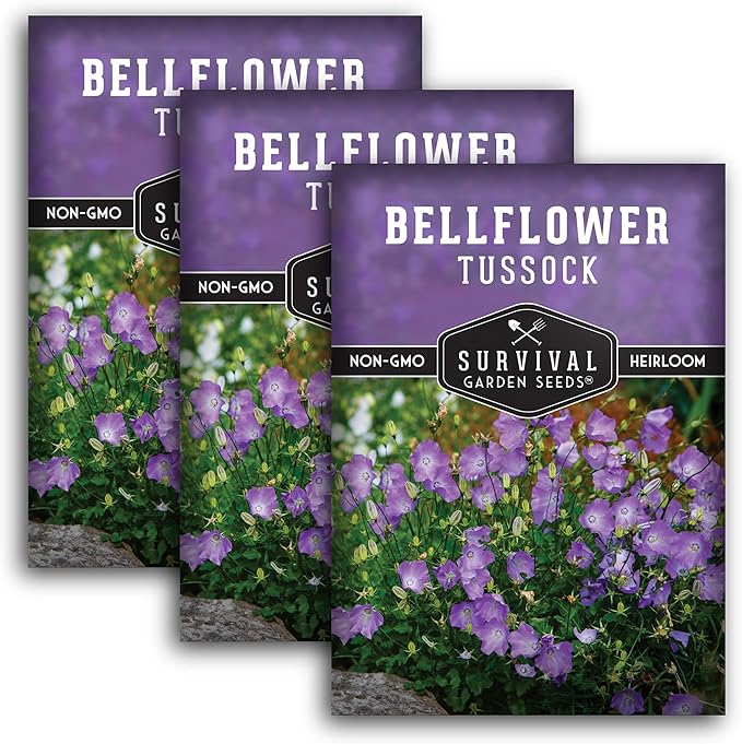 Survival Garden Seeds Tussock Bellflower Seed for Planting - 3 Packets with Instructions to Plant and Grow Campanula carpatica in Your Home Flower Garden - Non-GMO Heirloom