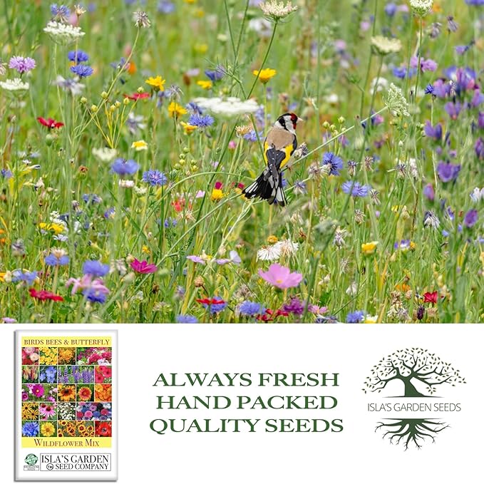 Birds, Bees & Butterflies Wildflower Mix – 500+ Seeds/PK by Isla’s Garden Seeds, Colorful Variety of Pollinator-Friendly Blooms, Supports Local Wildlife, Perfect for Garden Beds, Borders & Meadows