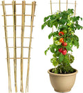3 Pack Natural Bamboo Trellis 4.8 Ft, Fan-Shape Garden Ladder Plant Trellis for Climbing Plants, Vegetables, Cucumber, Tomato, Potted Plants