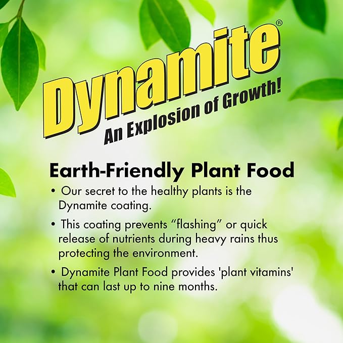 Dynamite Complete Plant Food Flower & Vegetable1 lb
