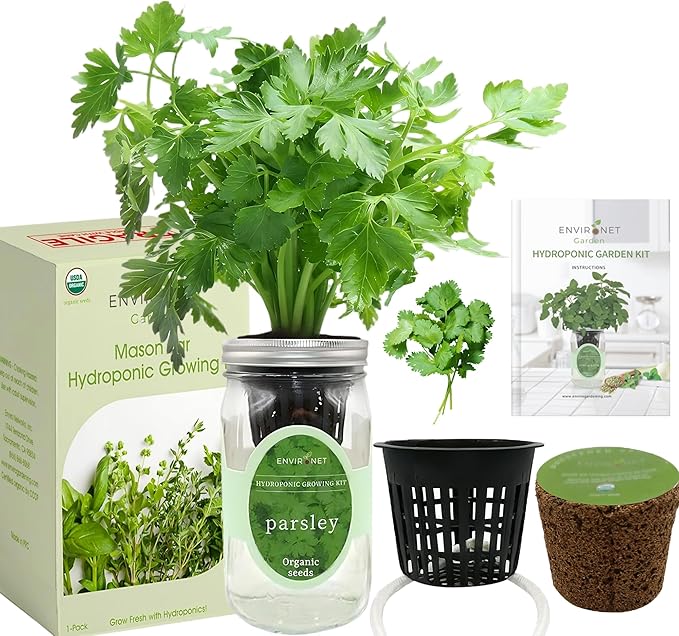 Hydroponic Herb Growing Kit, Self-Watering Mason Jar Herb Garden Starter Kit Indoor, Windowsill Herbs Garden, Grow Your Own Herbs from Organic Seeds (Parsley)
