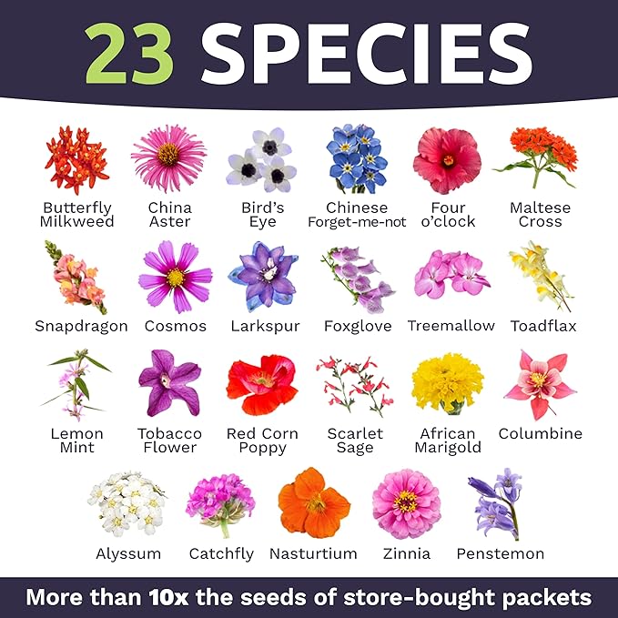 Bulk Wildflower Seeds Butterfly and Hummingbird Mix - 1 Pound Bag - Over 120,000 Open Pollinated Annual and Perennial Seeds