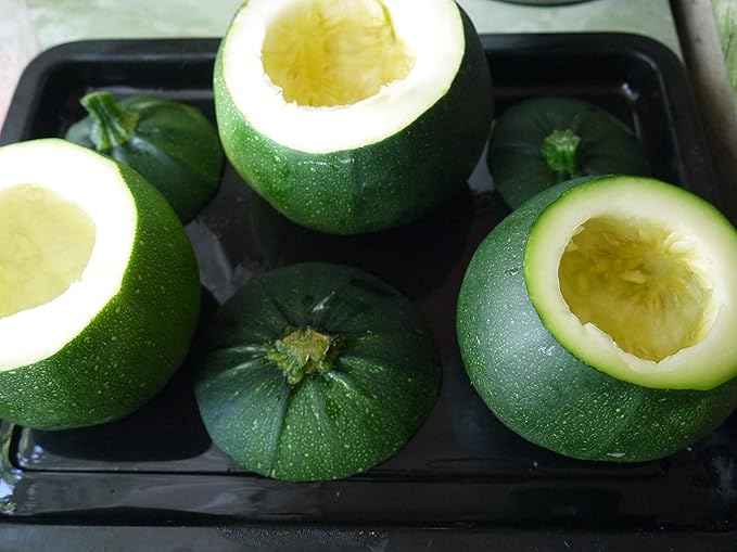 Seeds Zucchini Dark Black Squash Boatswain Heirloom Vegetable for Planting Non GMO