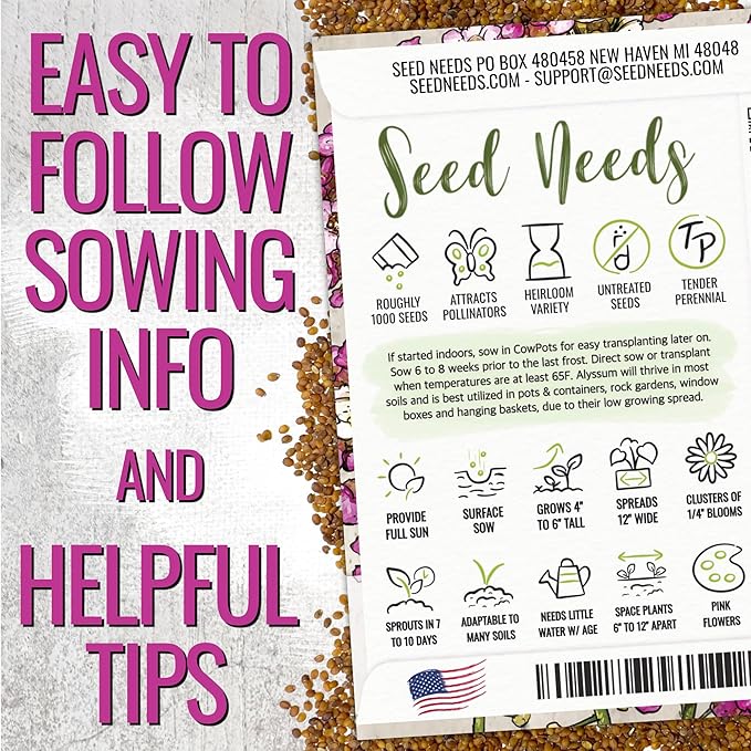 Seed Needs Dwarf Pink Alyssum Seeds for Planting - Heirloom & Open Pollinated Flower Seed to Plant Low Growing Tender Perennial Flowers for Rock Gardens, Pots & Containers (2 Packs)