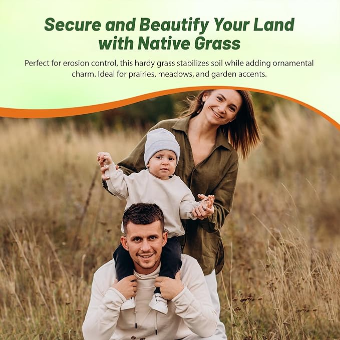 Outsidepride Perennial Andropogon Big Bluestem Grass Seed - 1 lb. Warm Season, Drought Resistant, Native Prairie Grass Seed, Ideal for Erosion Control, Ornamental Landscaping & Wildlife Gardens