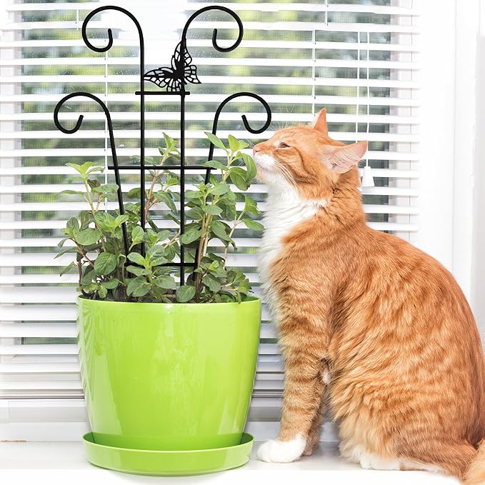 14.17in Indoor Plant Trellis for Potted Plants with Butterfly, Small Metal Indoor Trellis for Climbing Plants Indoor for Houseplant, Pothos Plant Climber Support for Hoya Vine, 2p