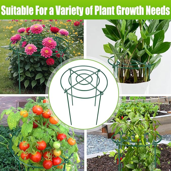 4 Pack Peony Cages and Supports, 11.5" Dx16 H Plant Supports for Outdoor Plants, Heavy Duty Metal Peony Support Cage Flower Support Rings, Plant Support Ring for Rose Tomato Hydrangea Strawberry