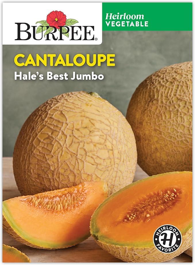 Burpee Heirloom Hale's Best Jumbo Cantaloupe Seeds - Sweet, Aromatic Melon
