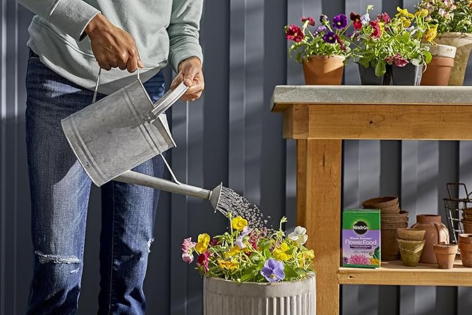 Miracle-GRO Water Soluble Bloom Booster Flower Food, for Use on All Annuals and Perennials, 1.5 lbs., 2-Pack