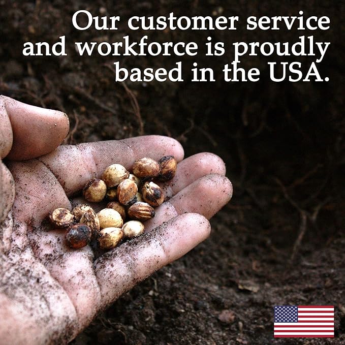 French Marigold Flower Garden Seeds - Durango Series - Mix - 1000 Seeds - Annual Flower Gardening Seed - Tagetes patula