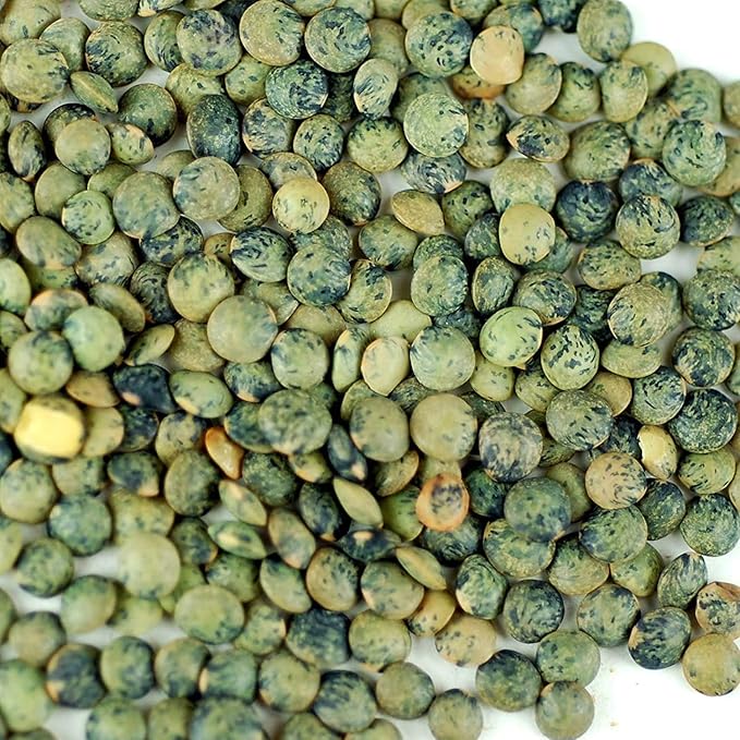 Organic French Lentil Sprouting Seeds - 1 Lb - French Lentils - Perfect for Edible Seeds, Gardening, Hydroponics, Salad, Soup, Sprouts & Food Storage Product Name