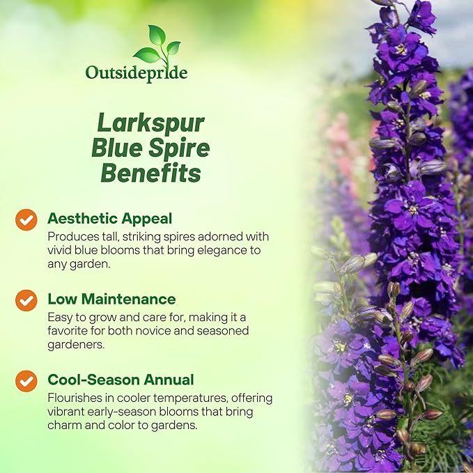 Outsidepride Delphinium Blue Larkspur Seeds for Planting Outdoors - 2000 Pcs Annual, Self-Seeding, Heat & Drought Tolerant Wildflower Seeds, Colorful Blooms for Flower Arrangement & Pollinator Garden