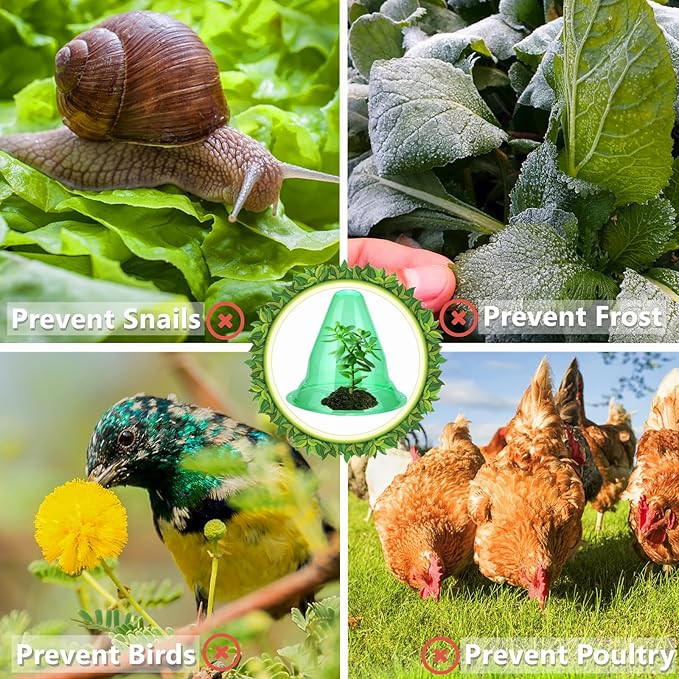 【10 Pieces】 Garden Cloches for Plants, Large Plant Covers Plant Protectors Transparent Bell Jar Cloches to Protect Plants from Birds, Slugs, Frost, Freeze Weather, 10.6" D x 9.5" H, Green
