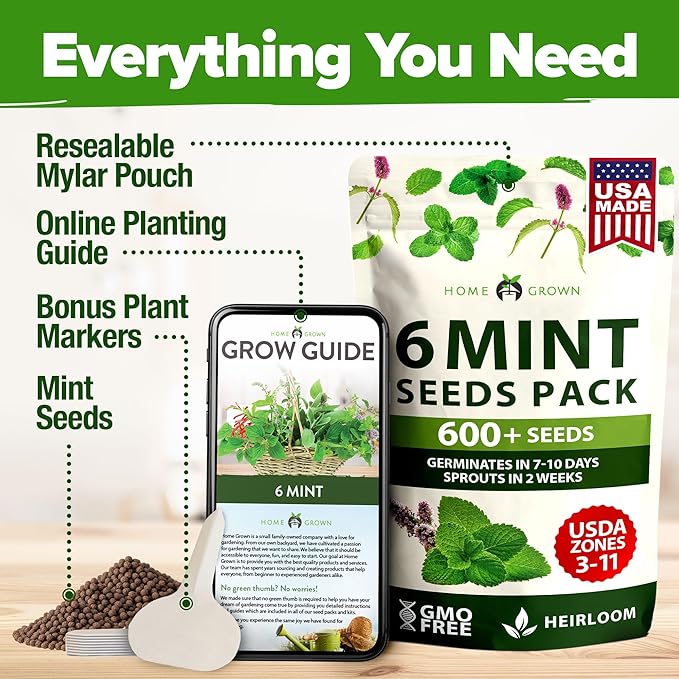 HOME GROWN Mint Seeds Variety Pack - 600+ Heirloom Non-GMO USA Peppermint, Spearmint & More - Herb Seeds for Planting Indoor Outdoor Garden - Fresh Mint for Tea & Cooking