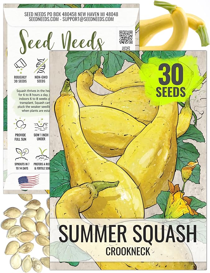 Seed Needs Crookneck Squash Seeds for Planting Summer Squashes - Non-GMO Heirloom & Untreated Cucurbita Seed to Plant an Outdoor Home Grown Vegetable Garden (1 Pack)