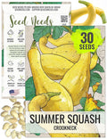 Seed Needs Crookneck Squash Seeds for Planting Summer Squashes - Non-GMO Heirloom & Untreated Cucurbita Seed to Plant an Outdoor Home Grown Vegetable Garden (1 Pack)