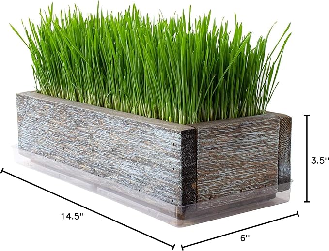 Organic Cat Grass Seeds Kit - Decorative Reclaimed Barnwood Style Organic Wheatgrass Seeds Planter - Aged Brown - Hairball Remedy for Cats, Healthy Pet Grass Supplement & Wheatgrass Growing Kit