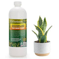 𝐏𝐑𝐎𝐅𝐄𝐒𝐒𝐈𝐎𝐍𝐀𝐋 Liquid Silica Plant Supplement - 32oz - Snake Plants Liquid Silica Boost Fertilizer - Stronger Stems & Healthy Leaves for Indoor & Outdoor Snake Plants (Makes 180 Gallons)
