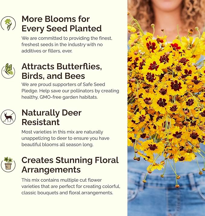 Eden Brothers Flowery Fields Forever Flower Mixed Seeds for Planting, 1 lb, 480,000+ Seeds with Cornflower, Candytuft | Attracts Pollinators, Plant in Spring or Fall, Zones 3, 4, 5, 6, 7, 8, 9, 10