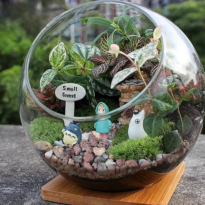 20lbs Mix Horticultural Lava Rocks for Plants, 3/8 Inch Potting Soil Amendment for Succulents, Cacti, Bonsai, Decorative Gravel Plant Drainage Volcanic for Terrarium, Top Dressing