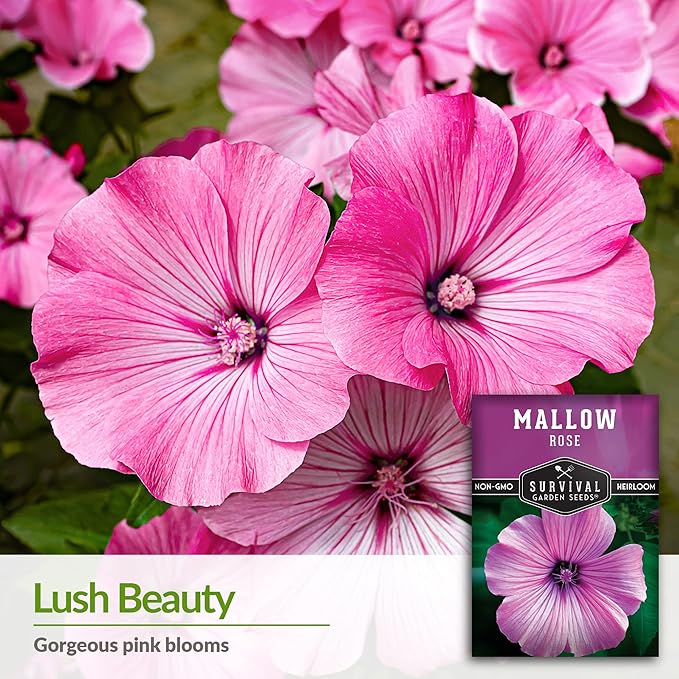 Survival Garden Seeds - Rose Mallow Seed for Planting - 3 Packs with Instructions to Plant and Grow Bright Pink Native Wildflower in Your Home Vegetable Garden - Non-GMO Heirloom Variety