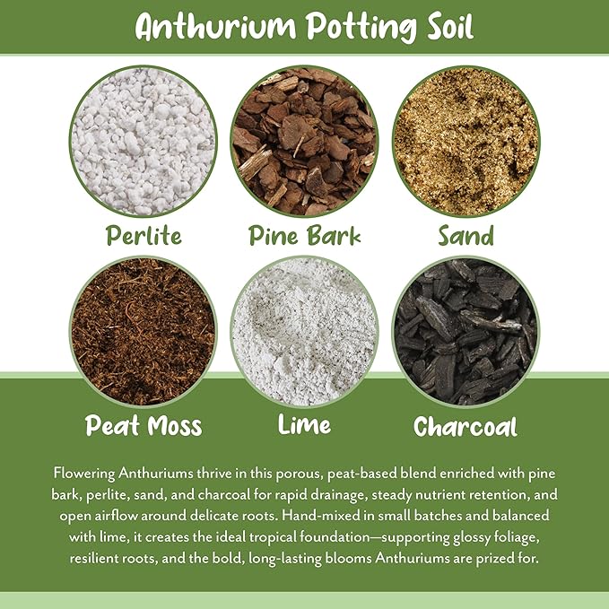 Soil Sunrise Anthurium Plant Potting Soil Mix (8 Quarts) Indoor Houseplant Custom Blend for Flowering Anthuriums