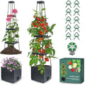MYMULIKE Self-Watering Garden Bed, Raised Garden Bed Planter Box Outdoor, 58” Tomato Cage Planter for Vegetables, Flowers, Herbs, and Fruit, Outdoor Indoor,5 Gallon Capacity