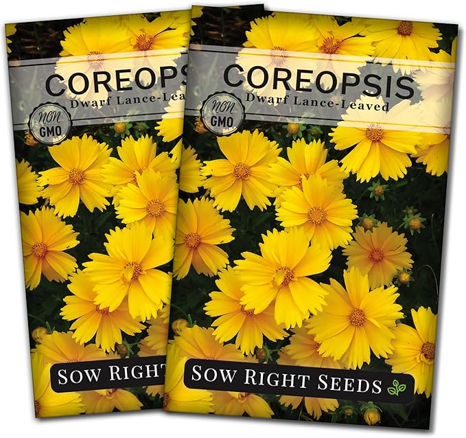 Sow Right Seeds - Dwarf Lance-Leaved Coreopsis Seeds for Planting - Non-GMO Heirloom Perennial Tickseed - Easy-to-Grow Flower for Butterflies & Bees - Sun-Loving Blooms for Gardens and Borders (2)