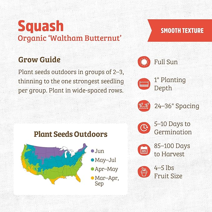 Back to The Roots 100% Organic Seed Packet - Squash 'Winter Waltham Butternut' 2.8g