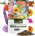 Wildflower Seeds Hummingbird and Butterfly Mix 1 Ounce, No Filler, 24 Varieties Flowers Seeds to Plant Outside, Annual Perennial, Bulk Resealable Package