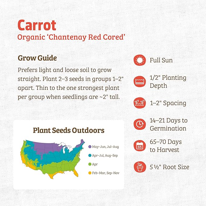 Back to The Roots 100% Organic Seed Packet - Carrot 'Chantenay Red Cored' 420mg