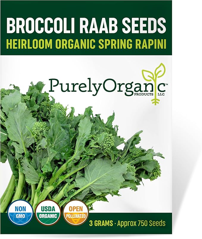 Organic Broccoli Raab Seeds (Spring Rapini) - Approx 750 Seeds - USDA Organic, Non-GMO, Open Pollinated, Heirloom, USA Origin