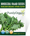 Organic Broccoli Raab Seeds (Spring Rapini) - Approx 750 Seeds - USDA Organic, Non-GMO, Open Pollinated, Heirloom, USA Origin