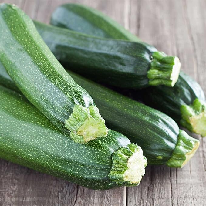 Hybrid Cashflow Zucchini Summer Squash Seeds (100 Seeds)
