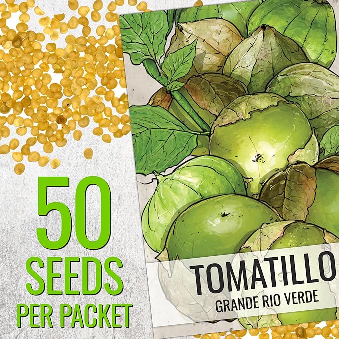 Seed Needs Tomatillo Seeds for Planting Grande Rio Verde Tomatillos - Non-GMO Heirloom & Untreated - Grow a Home Grown Outdoor Vegetable Garden - Great for Salsa & Mexican Cuisine (5 Packs)