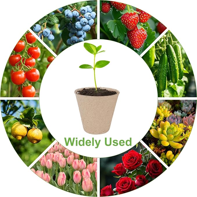 TAOLABV 30 Packs Peat Pots, 3.1 Inch Seed Starting Pots Without Drainage Holes, Biodegradable Round Nursery Pot, Starting Seeds of Vegetables, Herbs, and Flowers