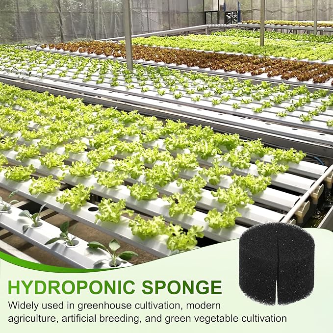 30-Pack Hydroponics Sponges, 1.57 Inch Growing Media Cylindrical Sponges for Planting Gardening Tool/Grow Seedlings/Home Vegetable Flower, Soilless Cultivation Seedling [Black]