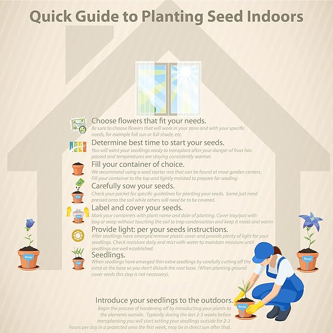 Outsidepride Beacon Red Bright Impatiens Flower Seeds - 75 Pcs Annual, Compact & Pollinator Friendly, Impatiens Seeds for Planting w/Vibrant, Abundant Blooms for Shade Gardens & Container Displays