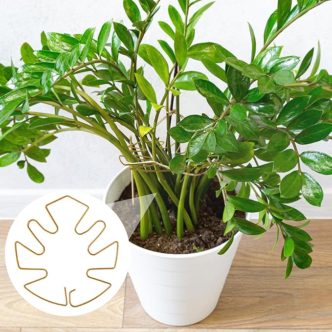 BOXOB 9pcs Climbing Houseplant Stem Supports, Metal Plant Climbers Stem Holders Reusable Flower Plant Stakes Trellis Hook Growth Accessories for Indoor Outdoor Growing, 2 Designs