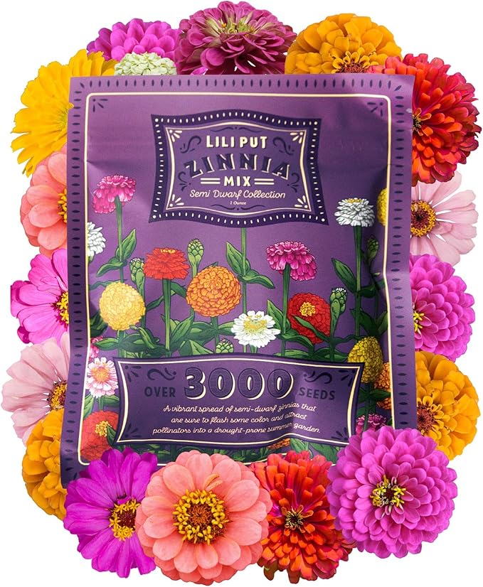 Zinnia Seeds for Outdoor Planting – ~3,000 Lilliput Semi-Dwarf Zinnia Seeds – 1–2" Dwarf Pompom-Style Blooms – Zinnia elegans Pollinator-Friendly Annual Flower Mix