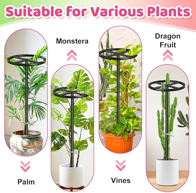 Metal Dragon Fruit Trellis, Adjustable Durable Dragon Fruit Plant Trellis Vertical Indoor Support Frame for Climbing Plants Trees Cactus Garden Outdoor Potted Support,1 Pcs