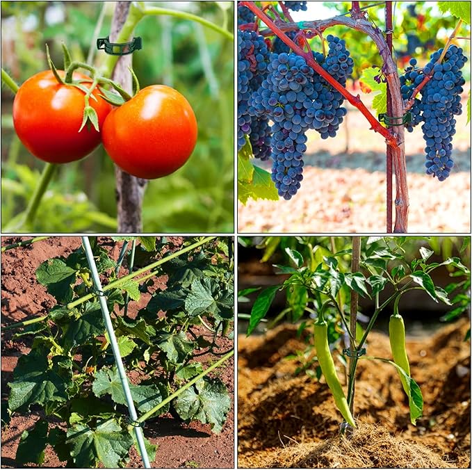 Plant Support Clips 100 PCS, Tomato Vine Clips, Tomato Trellis Plastic Clips, Garden Vine Fixing Clips - for Climbing Plants, Tomato, Grape, Vegetables and Plants Stalks