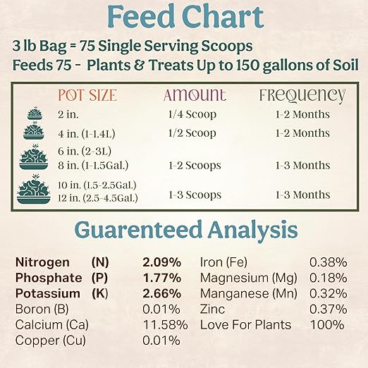 Grow Queen All-In-One Organic Succulent Fertilizer, Cactus Fertilizer, Succulent Plant Food, Bonsai & Cactus Food, 3 lb bag = 75 Single Servings, Fast & Slow Release feeds up to 300 plants for 8months