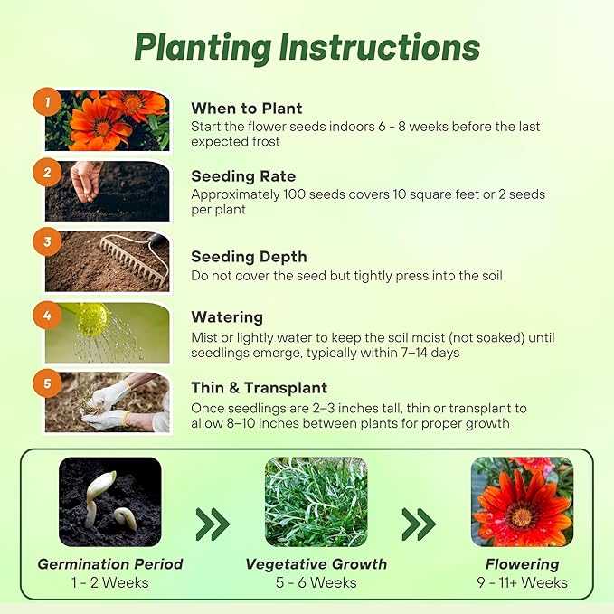 Outsidepride New Day Bronze Gazania Seeds for Planting – 50 Pcs Perennial, Low-Maintenance, Drought-Tolerant Ground Cover Seeds for Vibrant Summer & Fall Flowers, Great for Outdoor Gardens