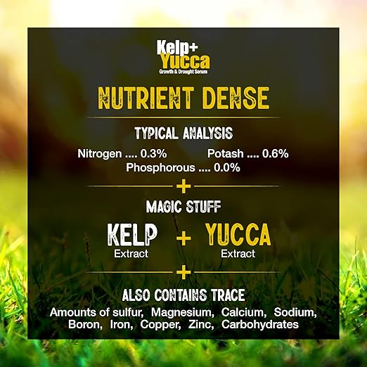 GS Plant Foods Kelp + Yucca Plant Fertilizer & Soil Conditioner – Heat & Drought Protection Formula for Vegetables, Lawns, Gardens & Houseplants (11 oz Dry Concentrate)