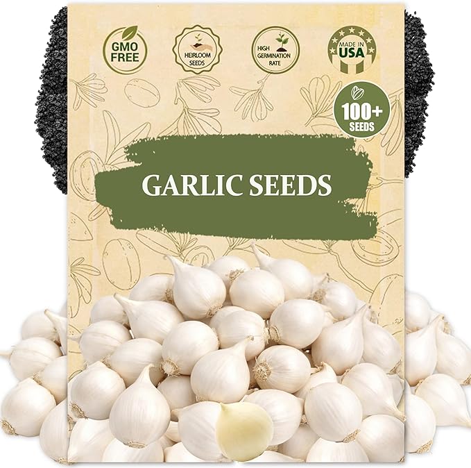 Garlic Seeds for Planting (Allium sativum) - 100+ Heirloom Non-GMO - Easy-Grow Culinary Herb – Robust Flavor, Cold-Hardy, Perennial Vegetable for Home Gardens