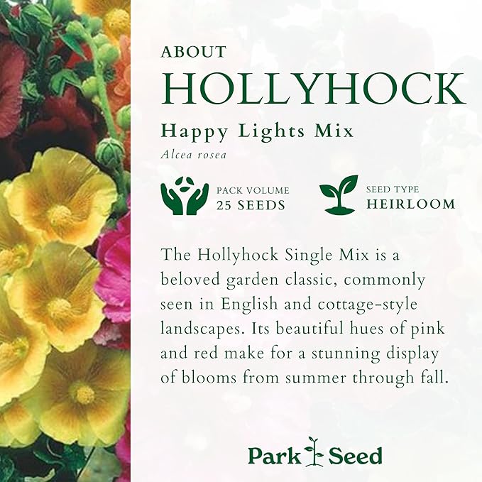 Park Seed Happy Lights Hollyhock Flower Seeds – Vibrant Single Blooms, Rust-Resistant Mix, Tall Garden Border Plant, Easy to Grow in Full Sun, Summer Color Variety – Pack of 25