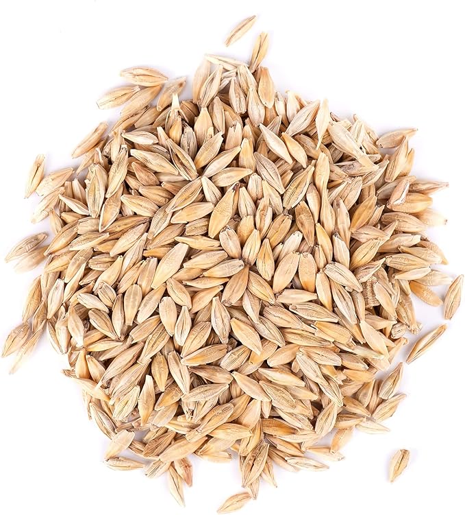 Barely Seeds for Planting (1/2 Pound)