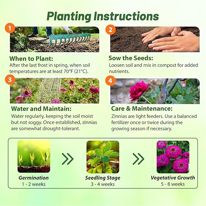 Outsidepride Purple Lilliput Zinnia Seeds - 1000 Pieces Annual, Drought Tolerant Flower Seeds for Planting Outdoors w/Pom-Pom-Like Compact Double Blooms for Borders & Containers, Pollinator Friendly